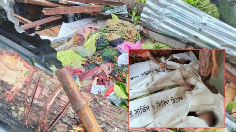 জামালপুরে কালবৈশাখী ঝড়ের তাণ্ডব, গাছ চ��পায় মা ও দুই মেয়ের মৃত্যু - Image 1