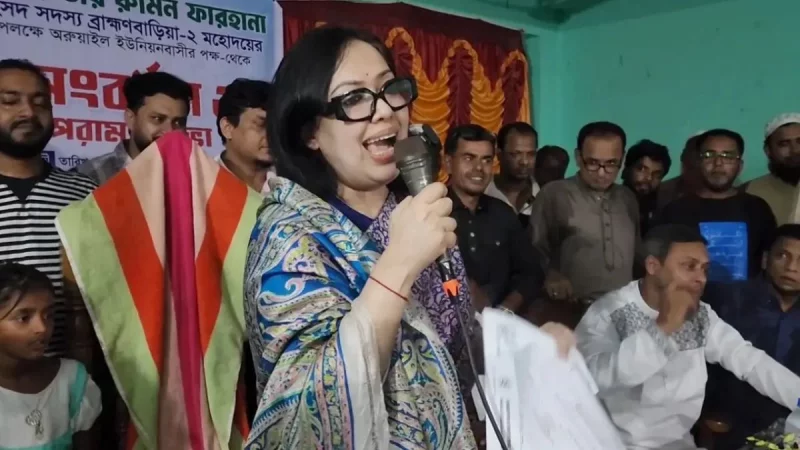 সরকারকে দোষ দেই না, নানা খরচে সরকার বিপর্যস্ত: রুমিন ফারহানা